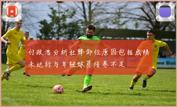付政浩分析杜锋卸任原因包括成绩未达标与年轻球员培养不足
